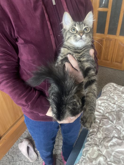 Лучший родарочек