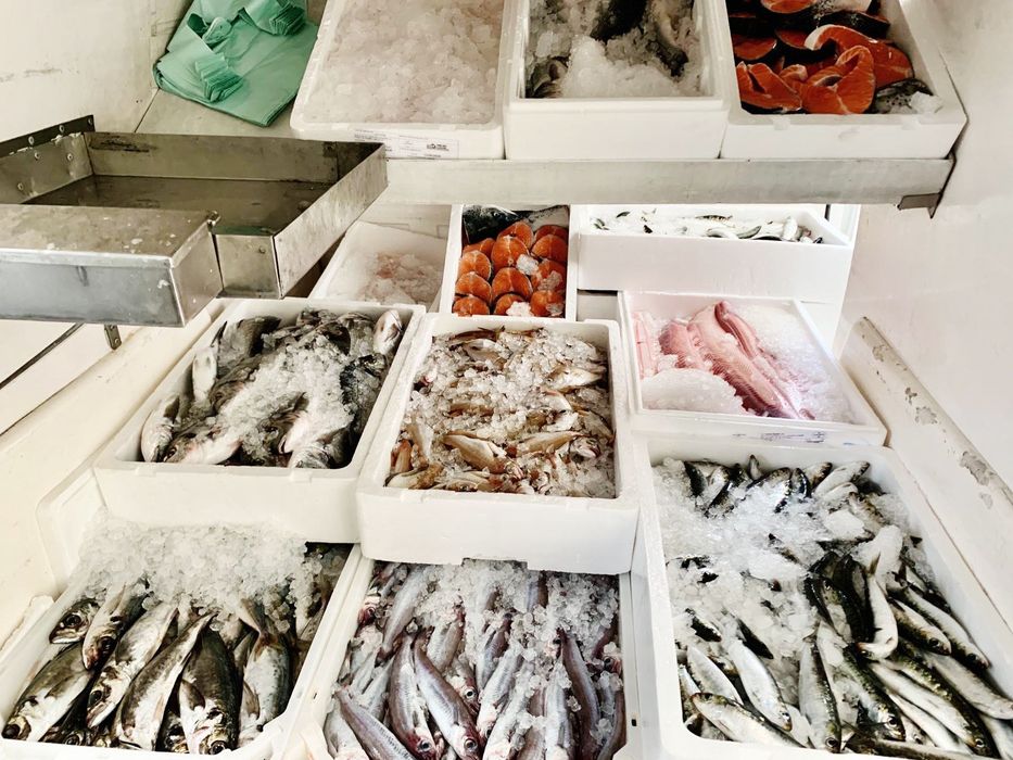 Venda de Negócio de venda peixe ambulante