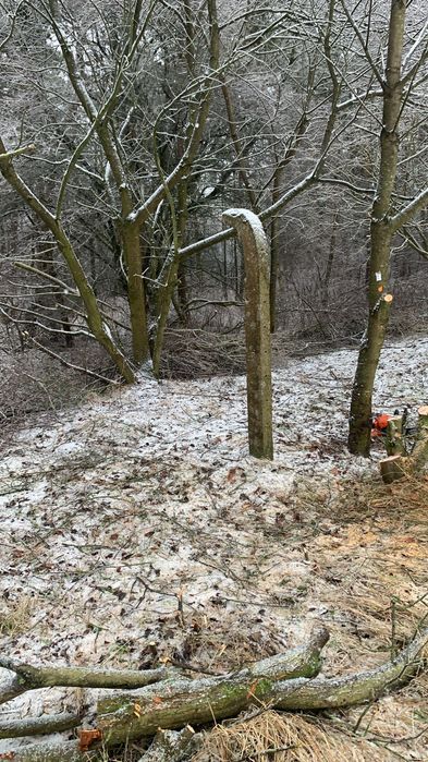 Słupy żelbetowe z ogrodzenia za darmo