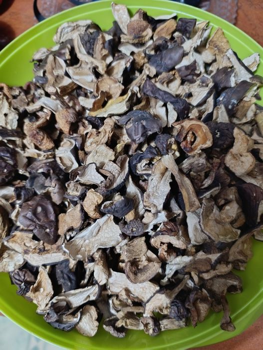 Grzyby suszone mix podgrzybki prawdziwki kozaki