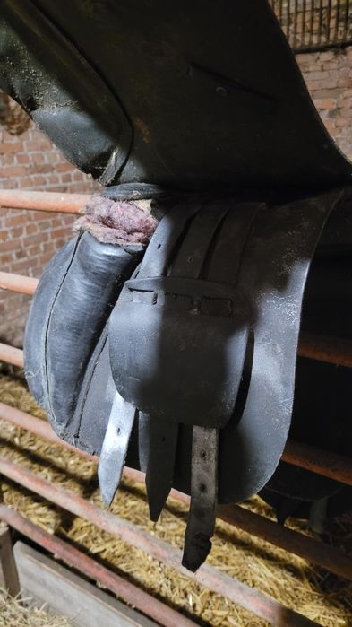 Siodło dla konia jazdy konnej