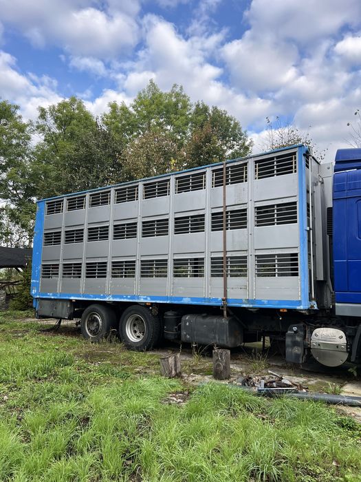 Zabudowa do przewozu zwierząt, żywca FINKL, waga, winda