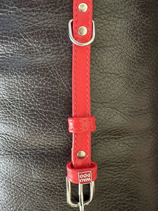 Obroża czerwona skóra