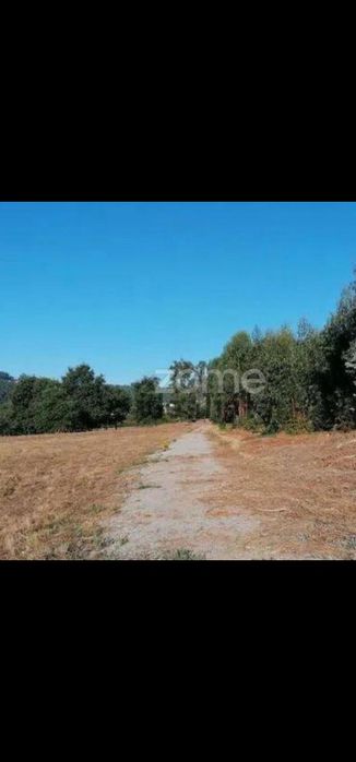 Quinta com 35000m2
