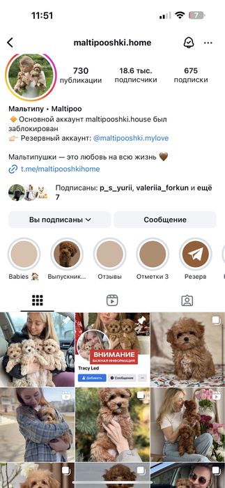 Лучшие подарки это Мальтипу!!!