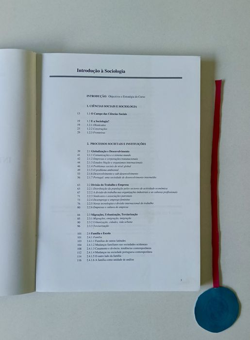Introdução à sociologia