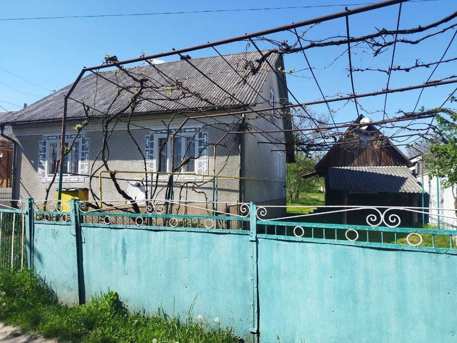Продаж будинку в с. Терново (Тячівський р-н Закарпатської області).