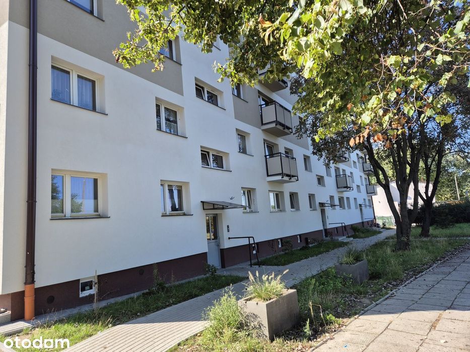 Mieszkanie, Radom