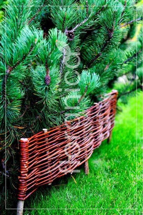Płot wiklinowy 10 x 100 cm PROMOCJA - nowe, ręczna produkcja