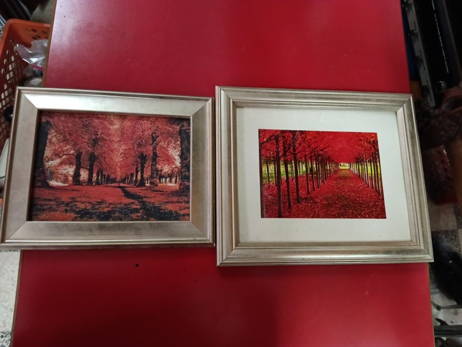 Dois quadros decorativos
