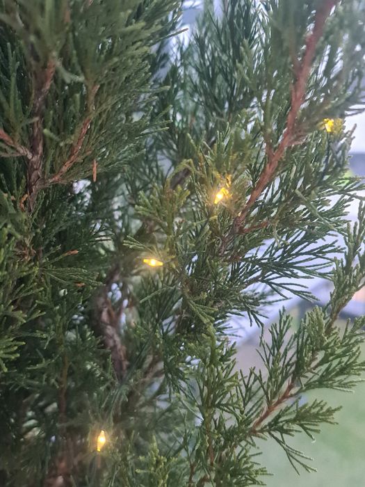 Solarne Lampki na drzewko LED 10 m 100 lampek