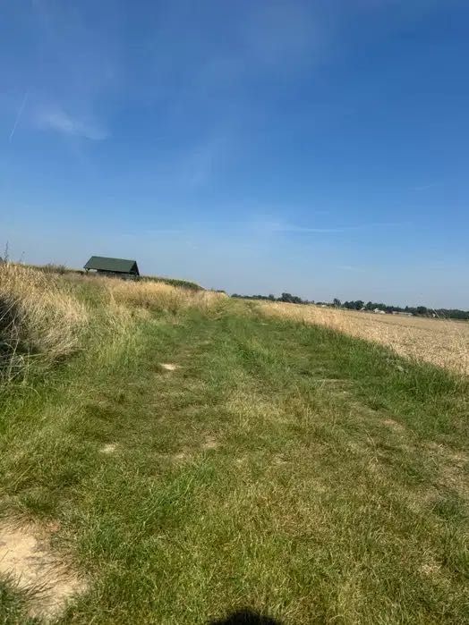 2 ostatnie działki 300m od Jeziorska - Popów - Widok 4