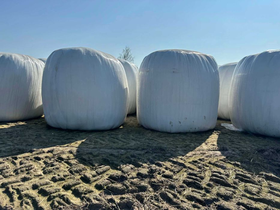 Sprzedam sianokiszonkę