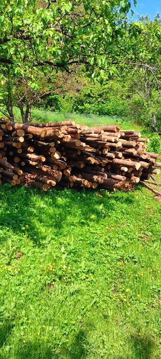 Drewno Opałowe Modrzew Sosna na metry