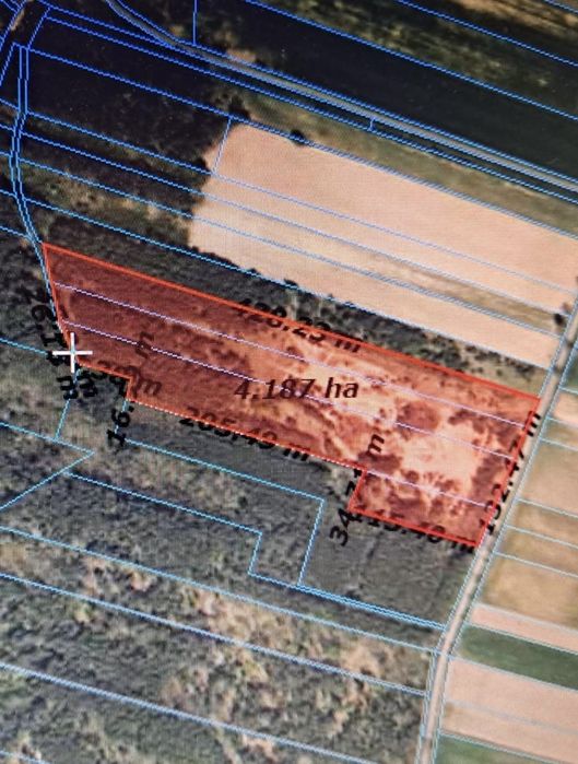 Działka rolna 4,20 ha - możliwość zabudowy - Załęczański Park, łódzkie