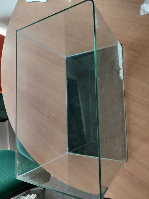 Aquario com 2 semanas de utilização