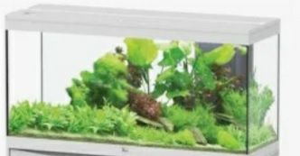 Aquarios de diversos tamanhos