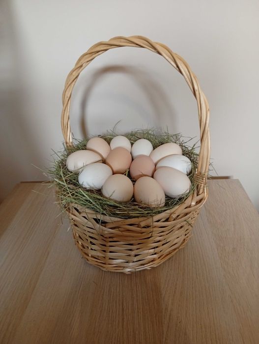 Jajka wiejskie Prima Sort z wolnego wybiegu :) Zapraszam