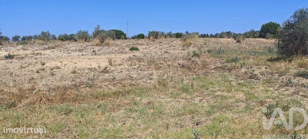 Terreno para construção em Branca de 7020,00 m2