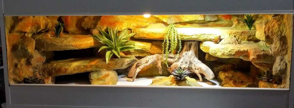Terrarium na zamówienie dla agamy 100x40x40