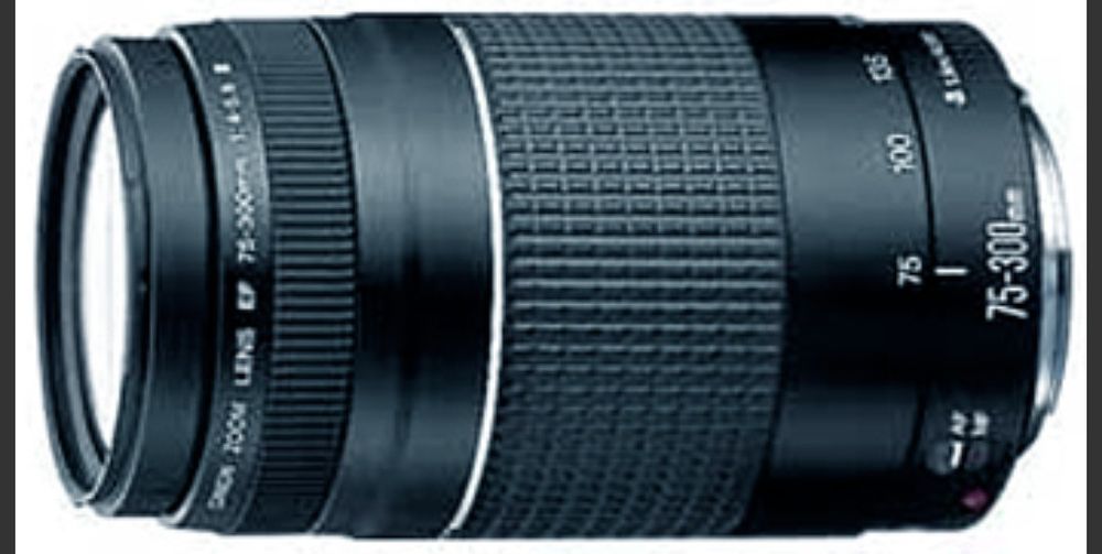 Canon 75-300mm f/4.0-5.6 EF III