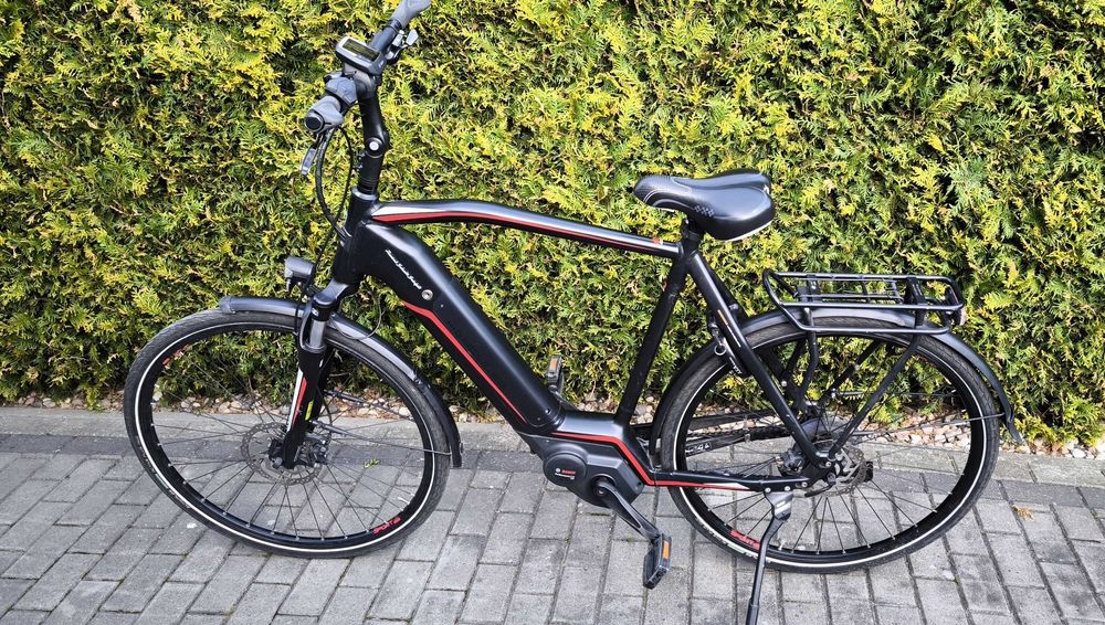 Hercules Rower Electryczny