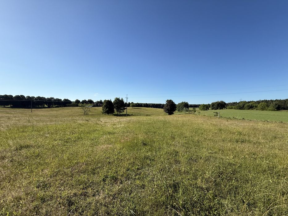 Duża działka budowlana pod lasem Kłębowiec. 3400 m² - Widok 2