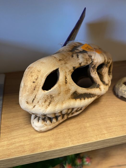 Ozdoba do terrarium czaszka zooanimals