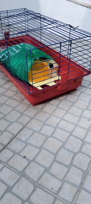 Gaiola para hamster como nova