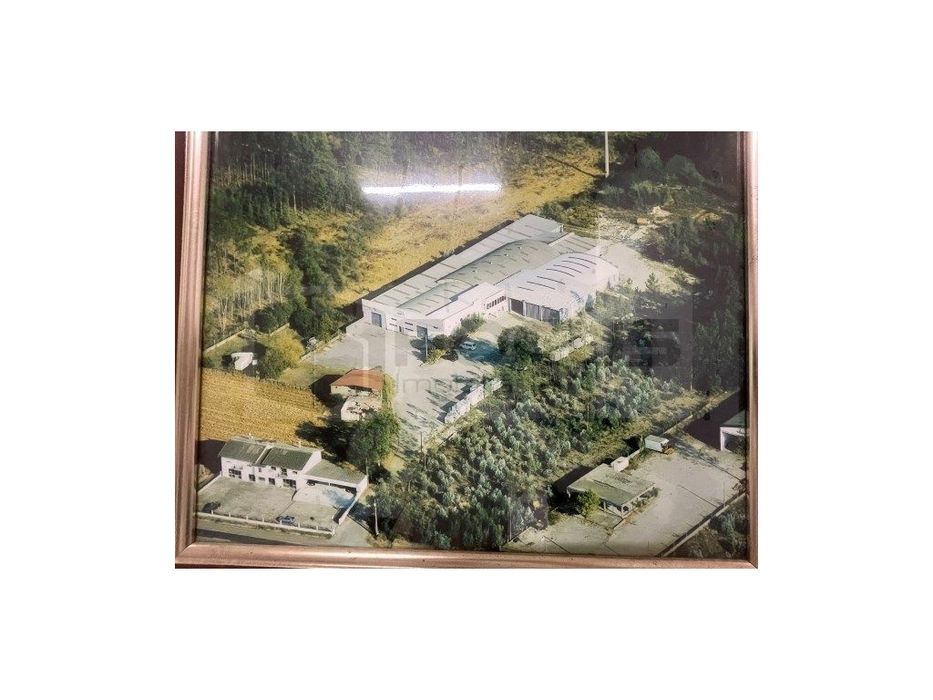 Propriedade Industrial / Pavilhão industrial - Anadia