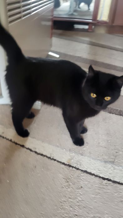 Девочка.4 - 4.5 месяца