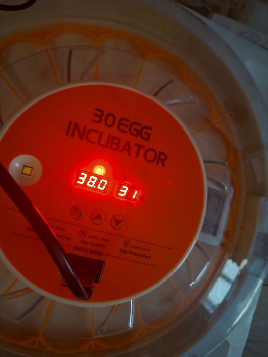 Nowy automatyczny inkubator na 30 dużych jaj