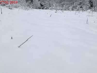 Продаж земельної ділянки (25 сот.) с.Орявчик Львівська обл. 29500$