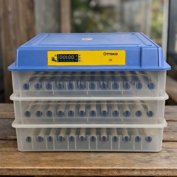 Распродажа! Инкубатор автоматический 12-220В Птаха Інкубатор і овоскоп