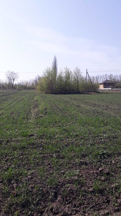 Ділянка Копистинське шосе.