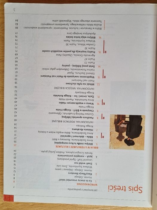 Język Polski Oblicza Epok 1.1 WSiP