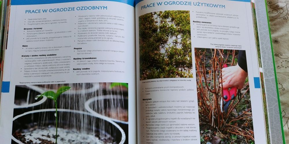 Książka Encyklopedia ogrodu