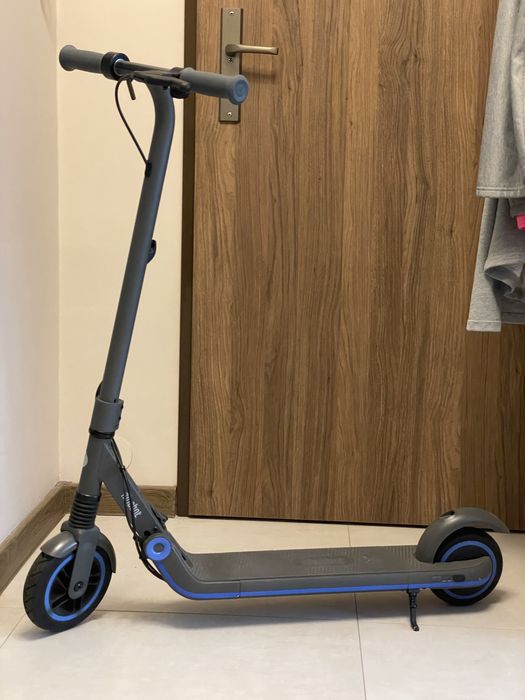 Hulajnoga elektryczna Ninebot Segway KickScooter E10