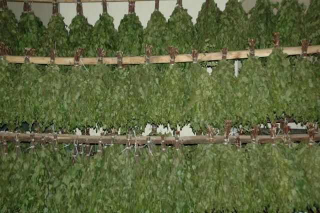 Банні віники для сауни березові віники  дубові віники травяні віники