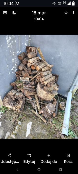 Sprzedam Tanio drzewo