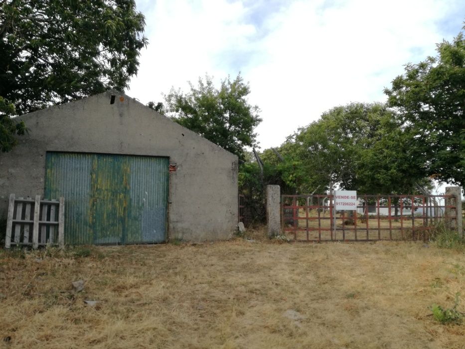 Terreno Urbano 1200 m2 - Freguesia da Pena - Vila Real