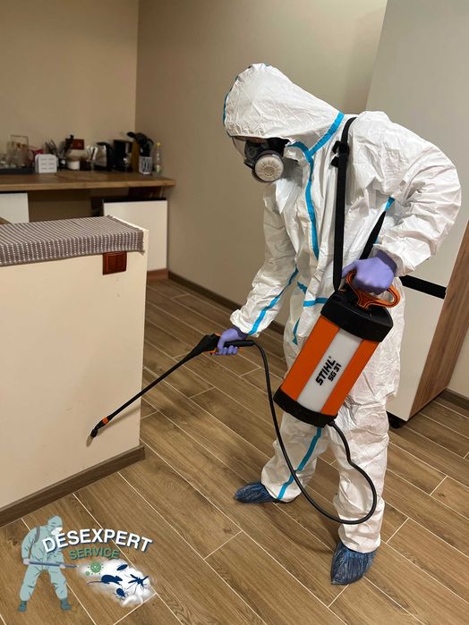 Знищення гризунів-мишей, щурів| Захист складів та будинків|Дератизація