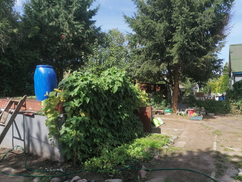 Sprzedam działkę Rod centralny Koszalin - Widok 5