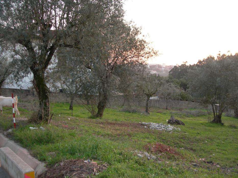 Terreno Urbano para construção.