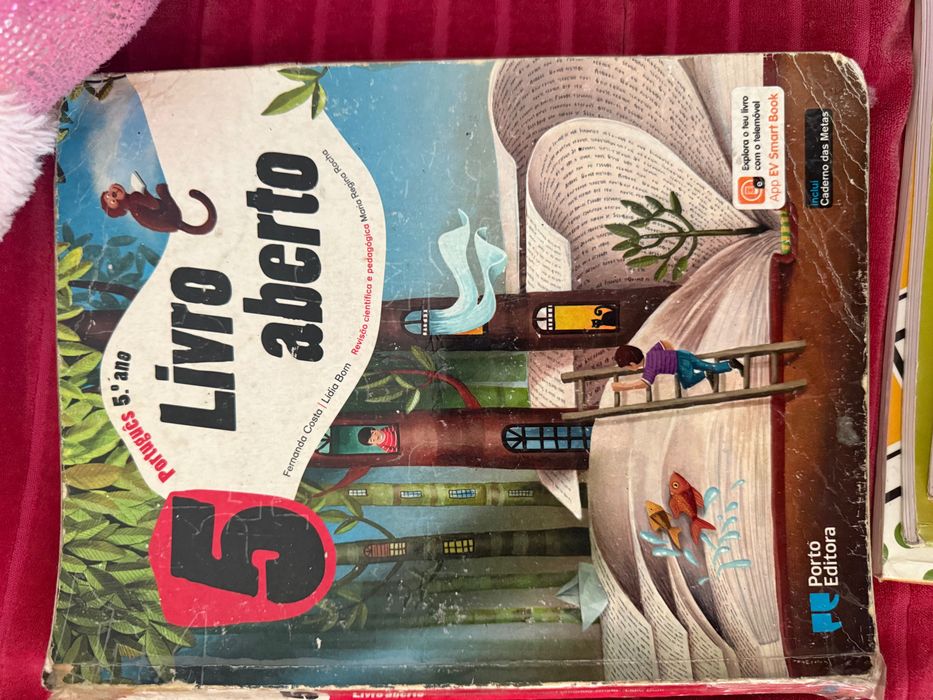 Livros reutilizáveis 5ano