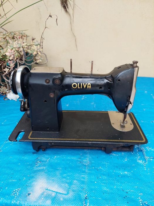 Oliva em ótimo estado