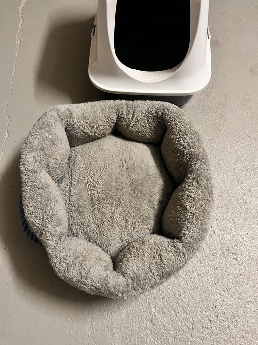 Casa + Almofada (Gato/a)