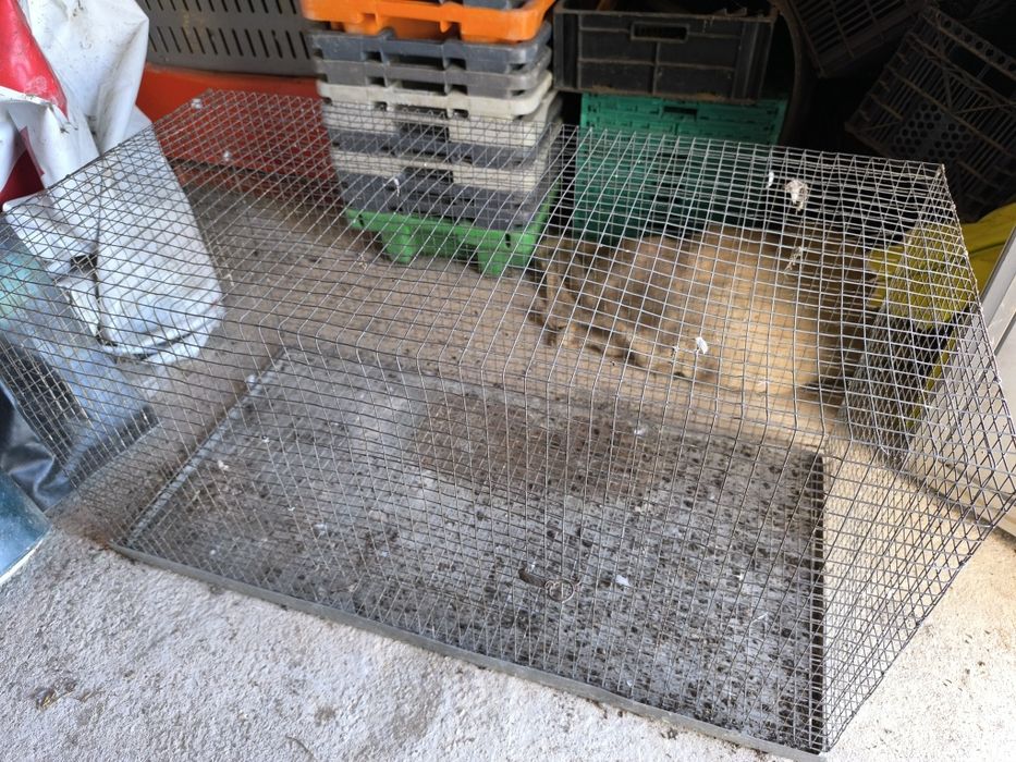 Gaiola para coelho, chinchila etc