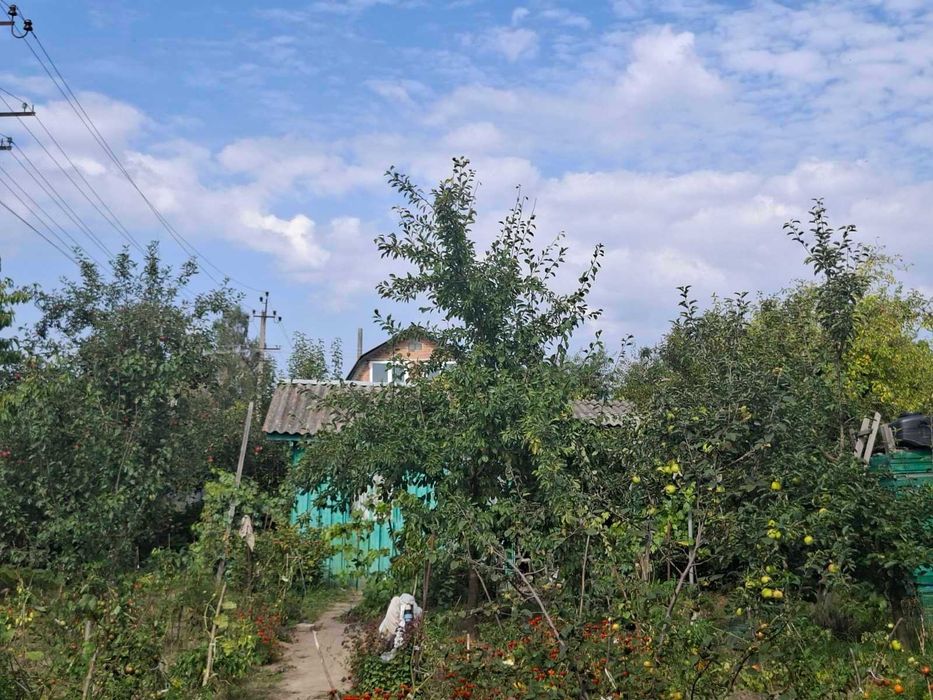 (3) Продам будинок Літин в с. Рибаче 0756