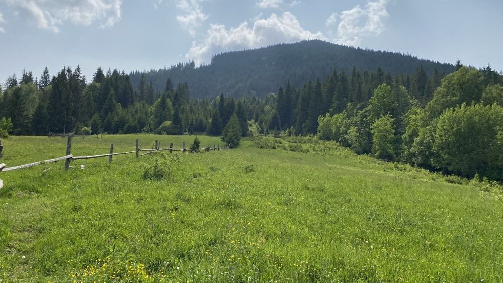Межує з лісом, під будову і класним видом